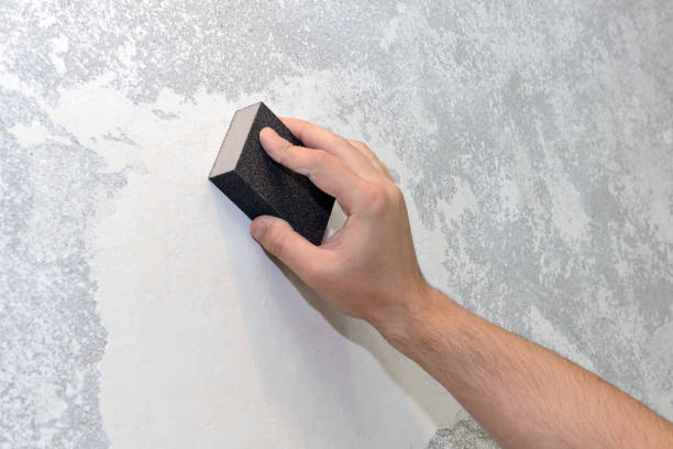 Best Crawl Space Mold Remediation  in Hatch, NM