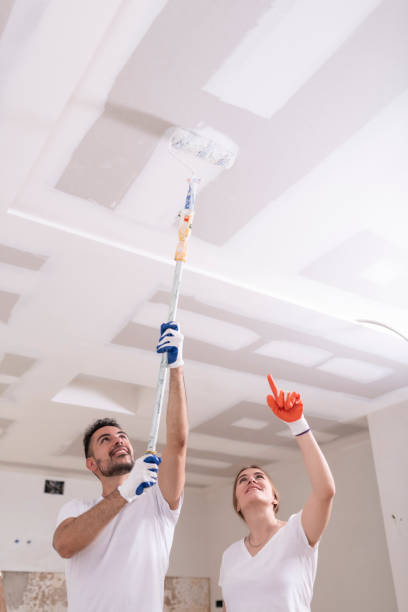 Best Mold Remediation for Vacation Homes  in Hatch, NM