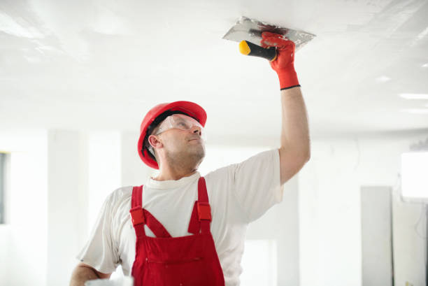 Best Post-Remediation Verification Testing  in Hatch, NM