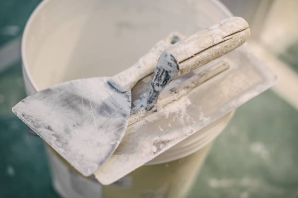 Best Black Mold Removal  in Hatch, NM